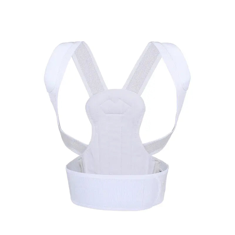 Spine Posture Correction Belt null